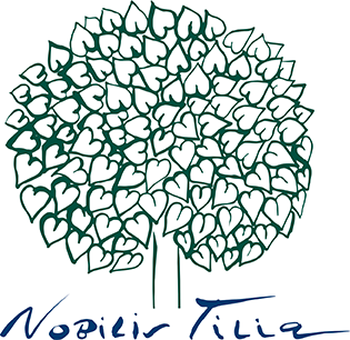 nobilis tilia